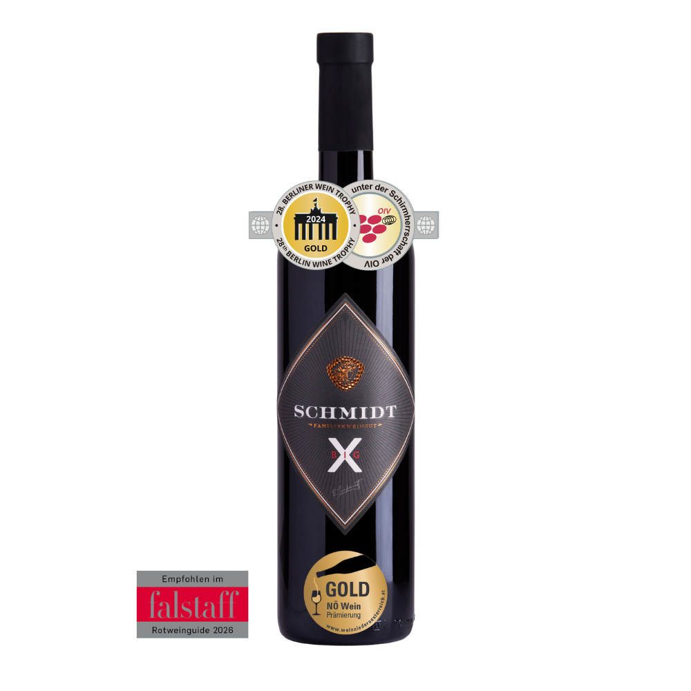 BIG X   Zweigelt x Merlot 2023