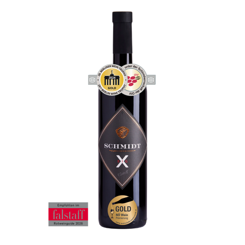 BIG X   Zweigelt x Merlot 2023